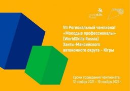 Vll Региональный чемпионат Ворлдскиллс "Молодые профессионалы"