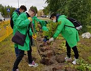 Лянторцы принимают участие в Международной акции "Сад памяти"